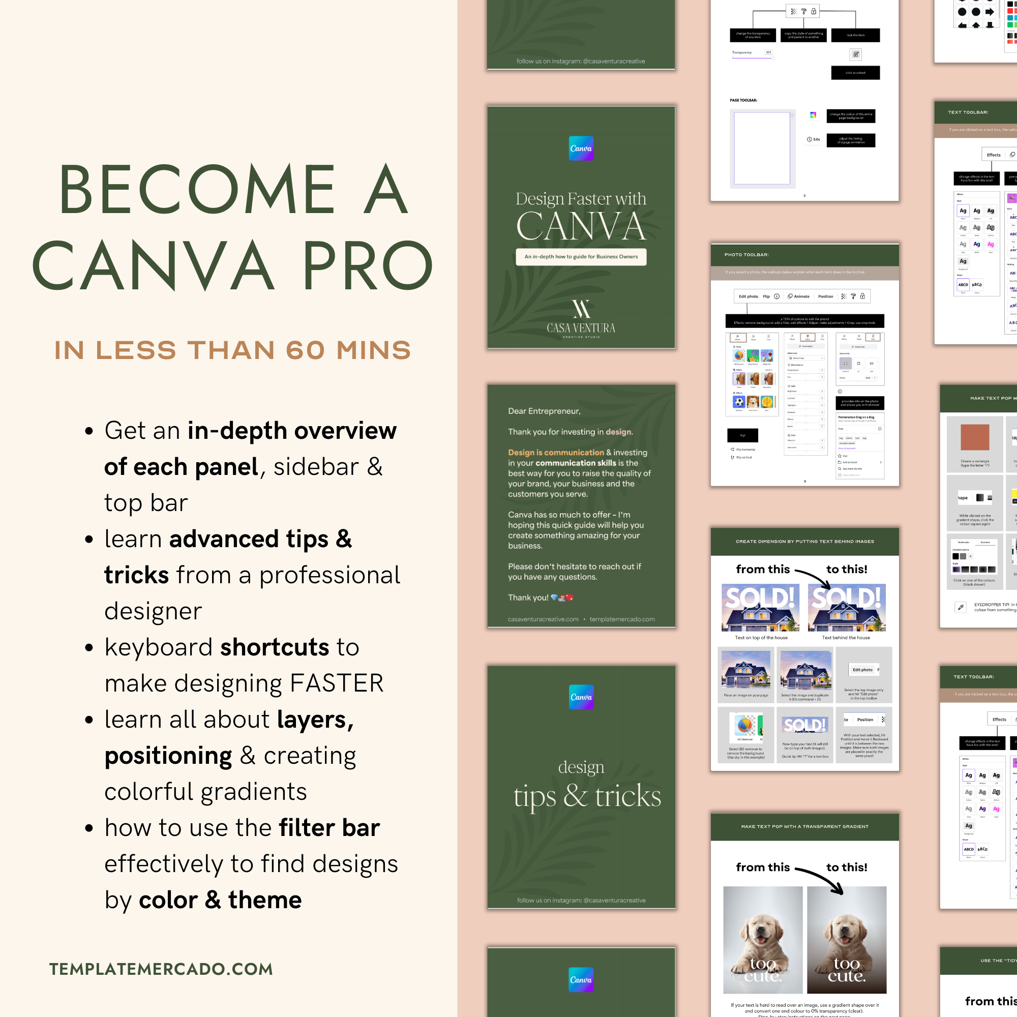 Design Faster With Our Canva Guide – Canva How To Guide for Business Owners - templatemercado